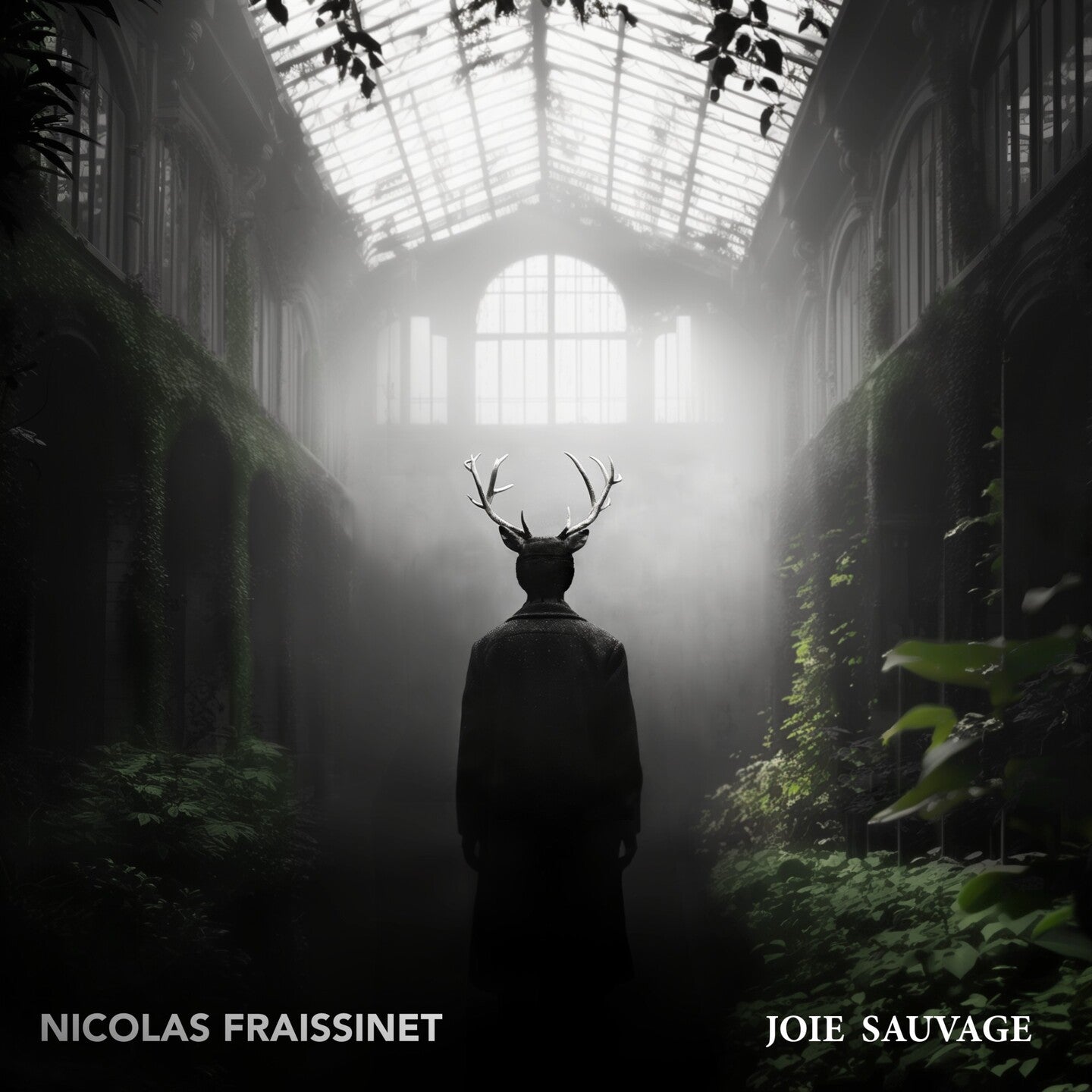 Pochette de : JOIE SAUVAGE - NICOLAS FRAISSINET (CD)