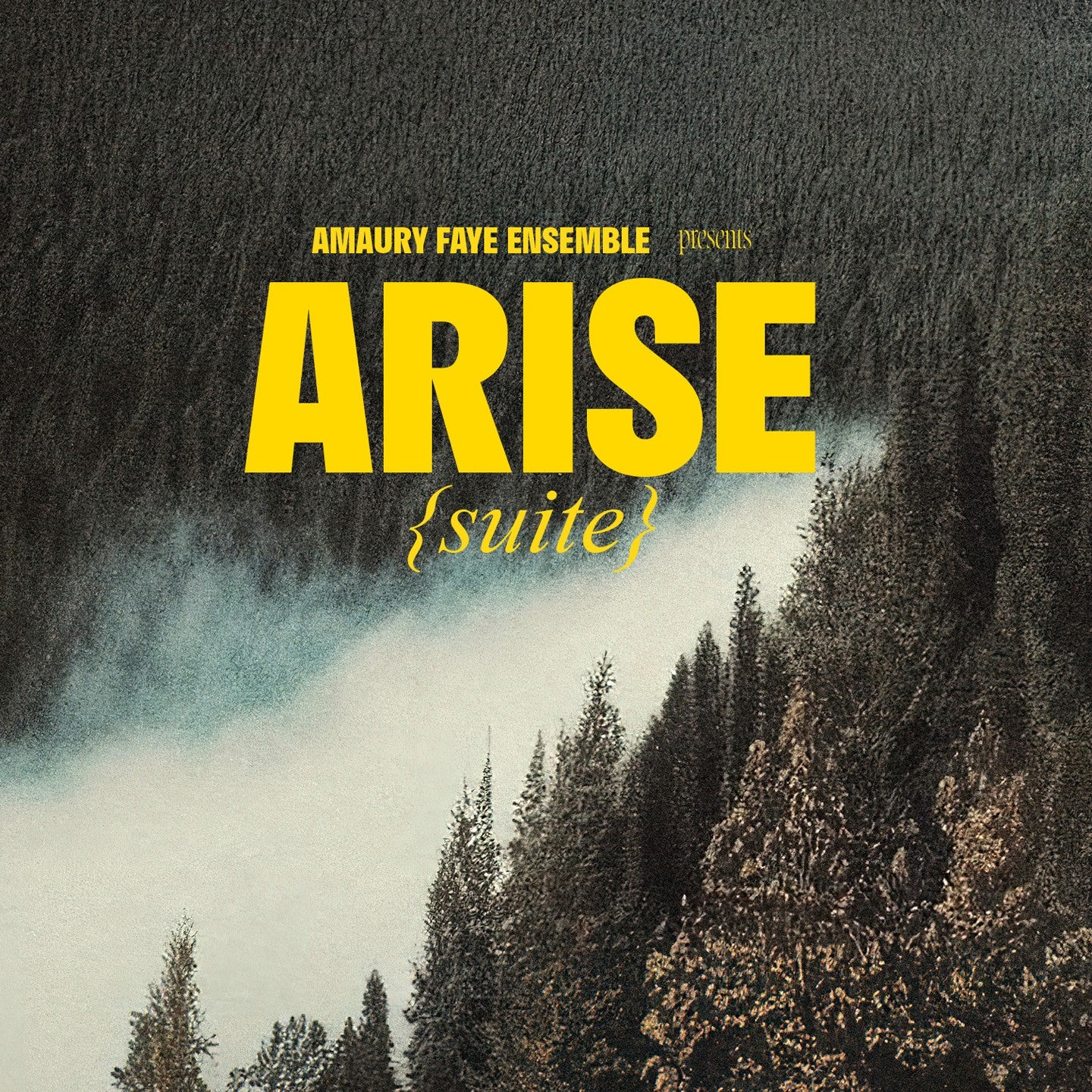 Pochette de : ARISE (SUITE) - AMAURY FAYE ENSEMBLE (CD)