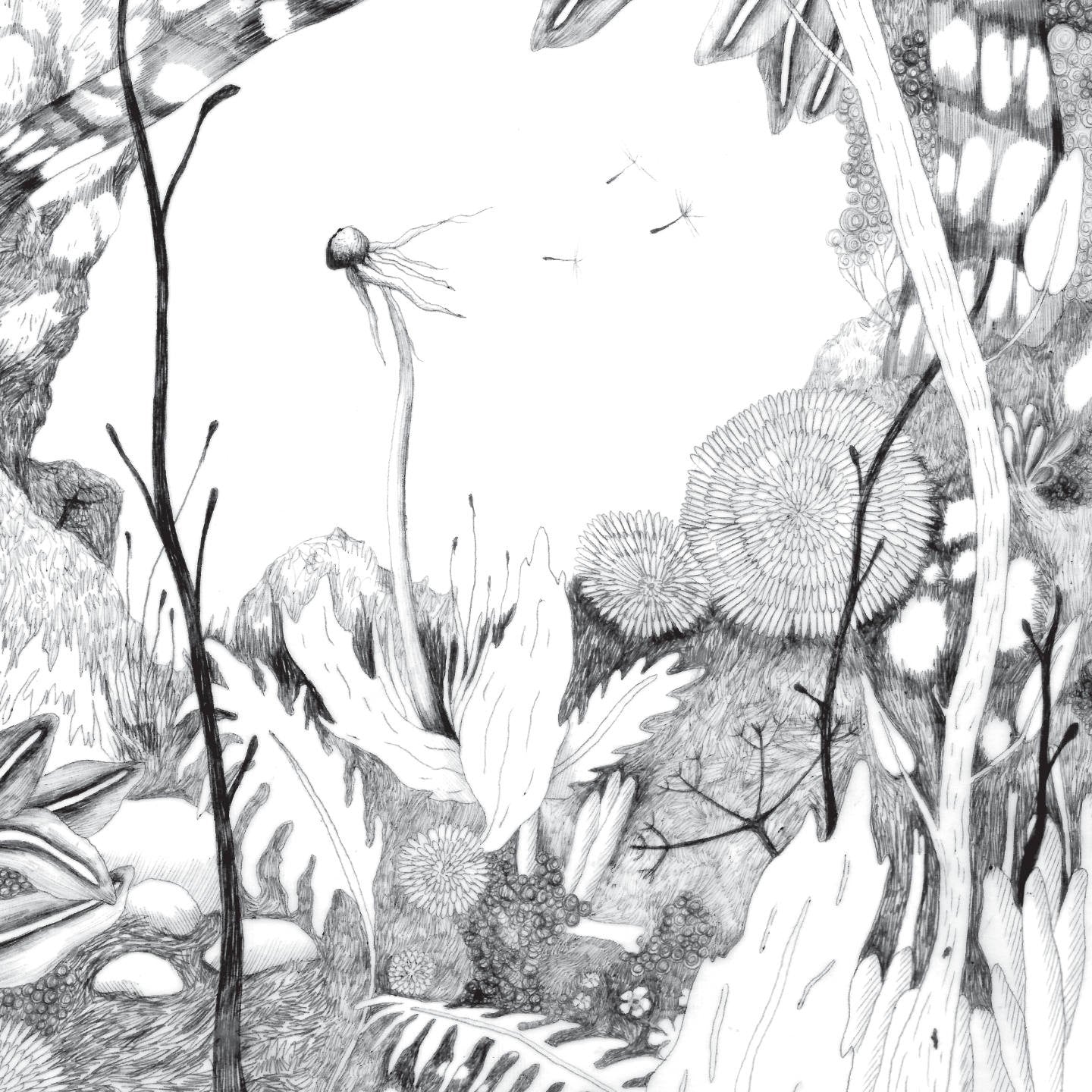 Pochette de : TIME WHISPERS - BACK & FORTH (VINYLE 33T)