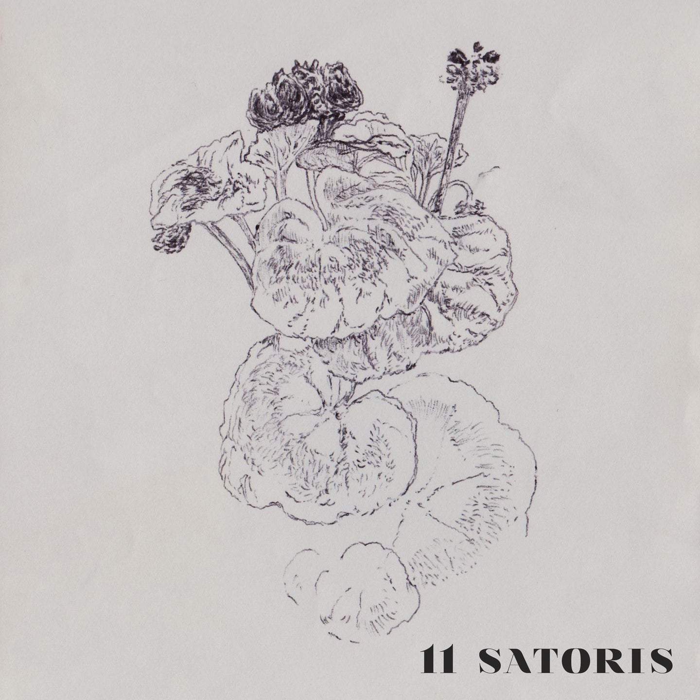 Pochette de : 11 SATORIS - 11 SATORIS (VINYLE 33T)