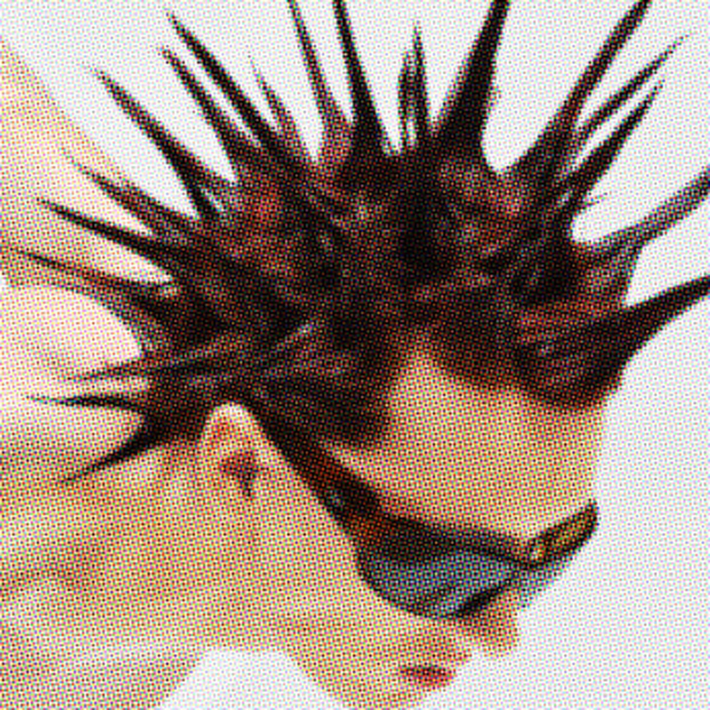 Pochette de : CAVIAR NORMAL SUPÉRIEUR - GIN (VINYLE 33T)