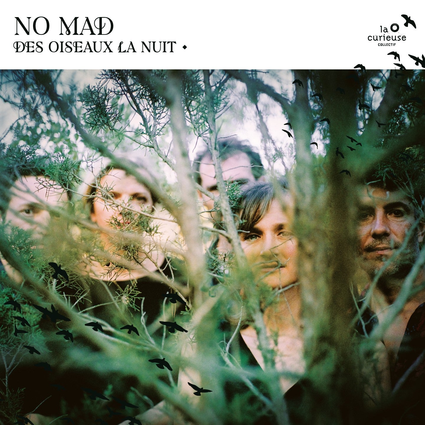 Pochette de : DES OISEAUX LA NUIT - NO MAD (VINYLE 33T)
