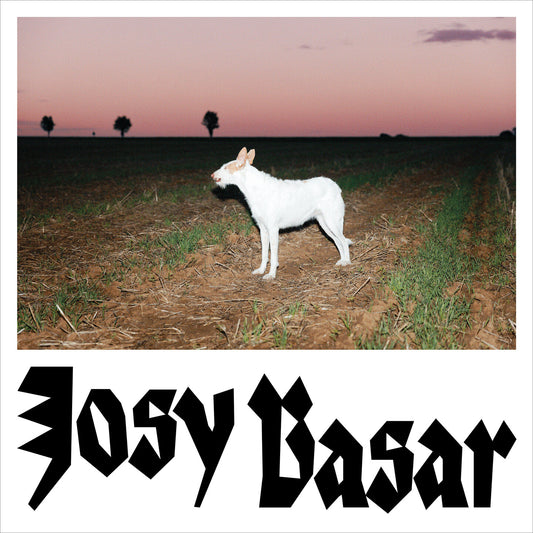 Pochette de : LE CHIEN - JOSY BASAR (VINYLE 33T)
