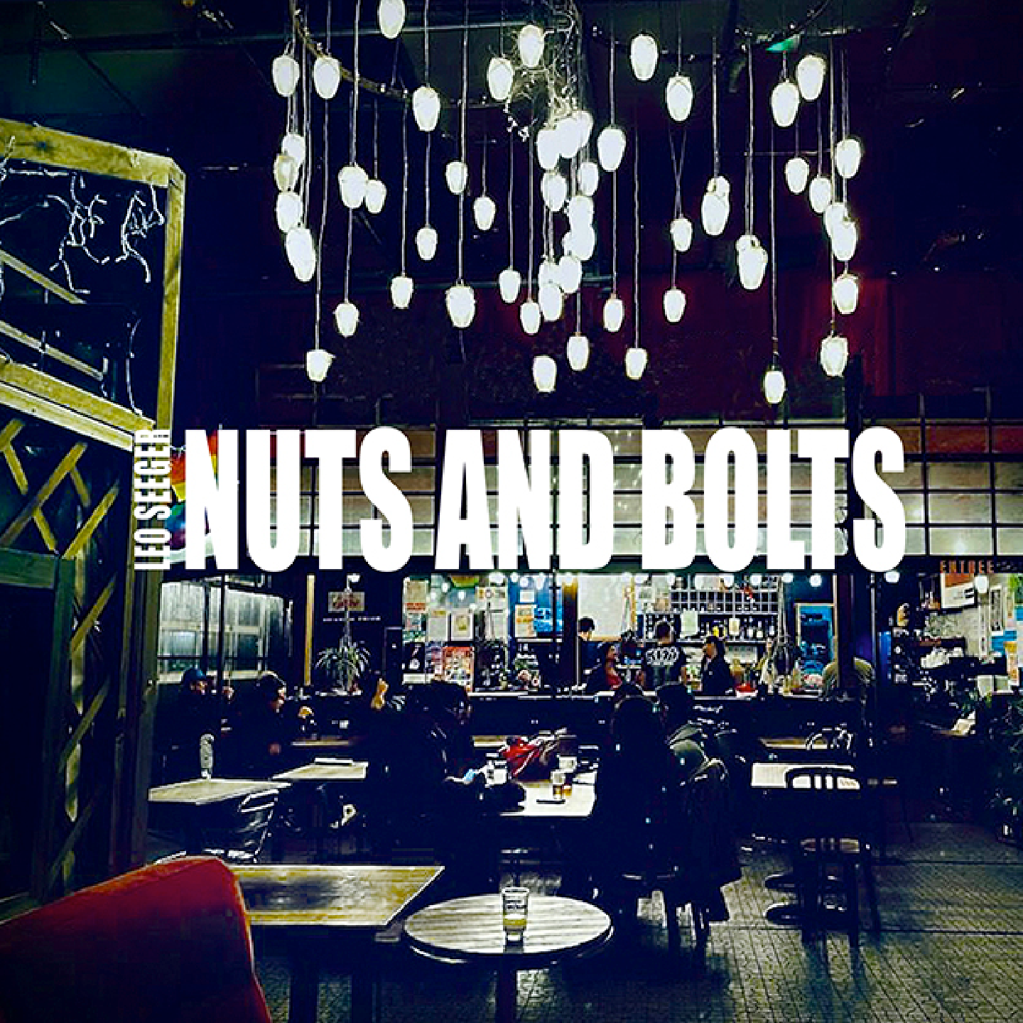 Pochette de : NUTS & BOLTS - LEO SEEGER (CD)