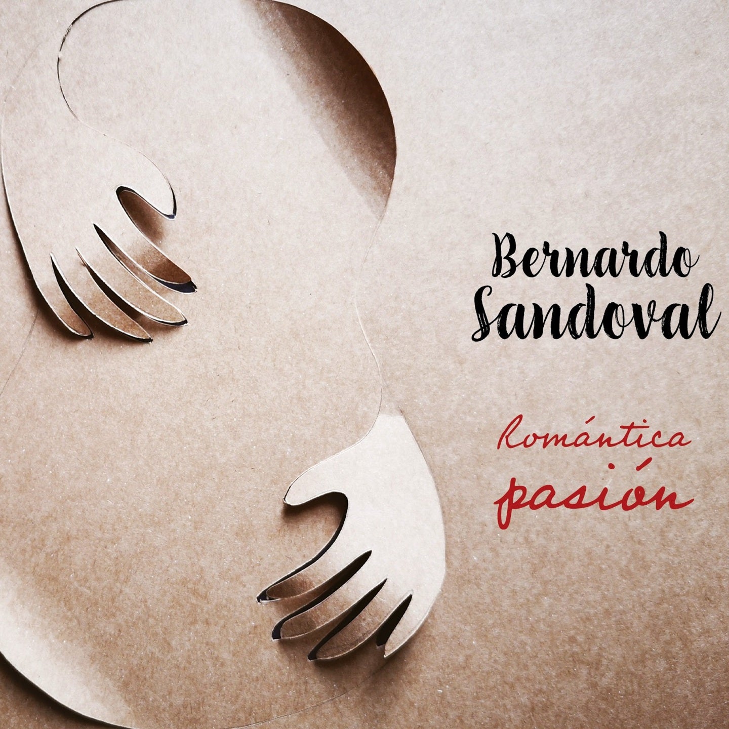 Pochette de : ROMANTICA PASION - BERNARDO SANDOVAL (DOUBLE CD)