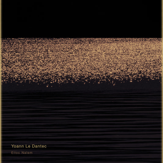 Pochette de : EILOC NALEM - YOANN LE DANTEC (VINYLE 33T)
