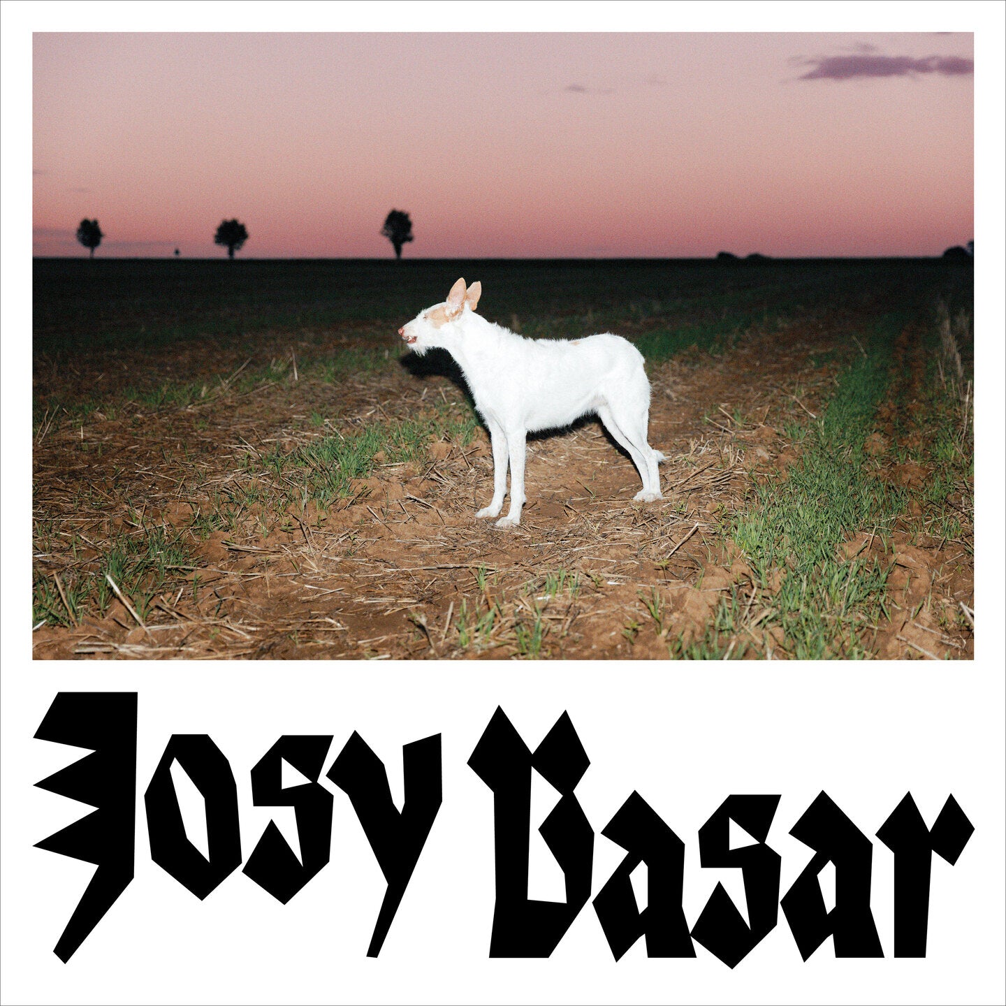 Pochette de : LE CHIEN - JOSY BASAR (VINYLE 33T)