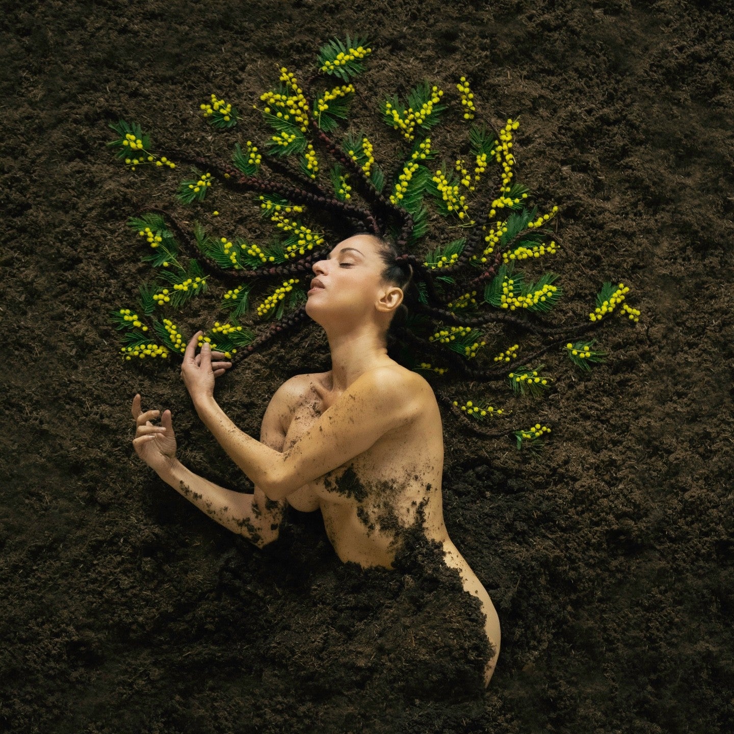 Pochette de : MAUVAISE GRAINE - SISKA (VINYLE 33T)