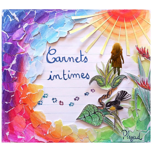 Pochette de : CARNETS INTIMES _ PLEYAD - PLEYAD (CD)