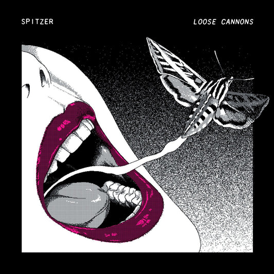 Pochette de : LOOSE CANNONS - SPITZER (CD)