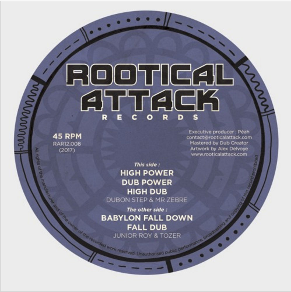 Pochette de : BABYLON FALL DOWN - TOZER / MR ZEBRE (33T)