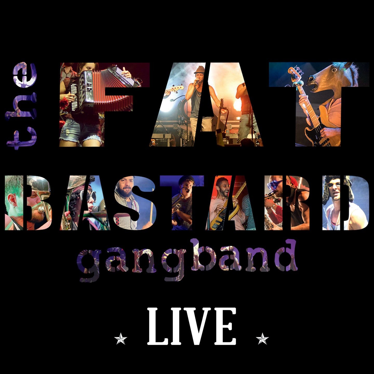 Pochette de : THE FAT BASTARD GANG BAND LIVE - FAT BASTARD GANG BAND (CD)