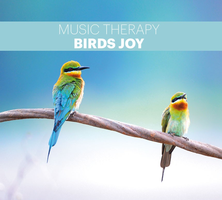 Pochette de : MUSIC THERAPY – BIRDS JOY - VARIOUS ARTIST (CD)