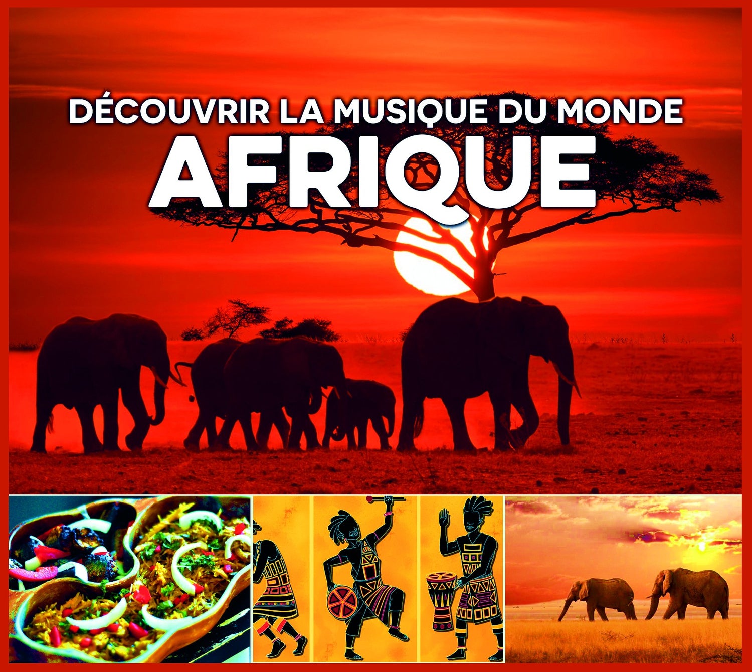 Pochette de : DÉCOUVRIR LA MUSIQUE DU MONDE, AFRIQUE - MULTI ARTISTES (CD)