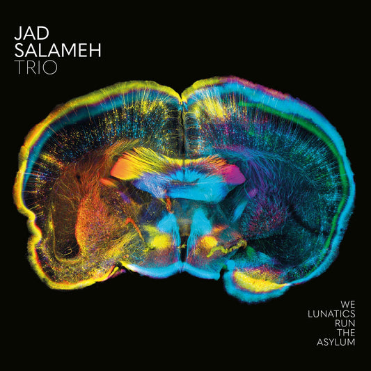 Pochette de : WE LUNATICS RUN THE ASYLUM - JAD SALAMEH TRIO (CD)