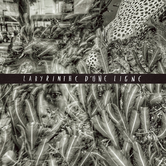 Pochette de : LABYRINTHE D'UNE LIGNE - LABYRINTHE D'UNE LIGNE (CD)