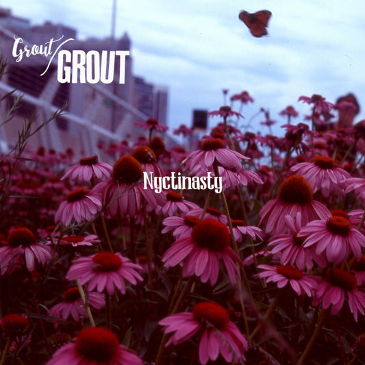 Pochette de : NYCTINASTY - GROUT/GROUT (VINYLE 33T)