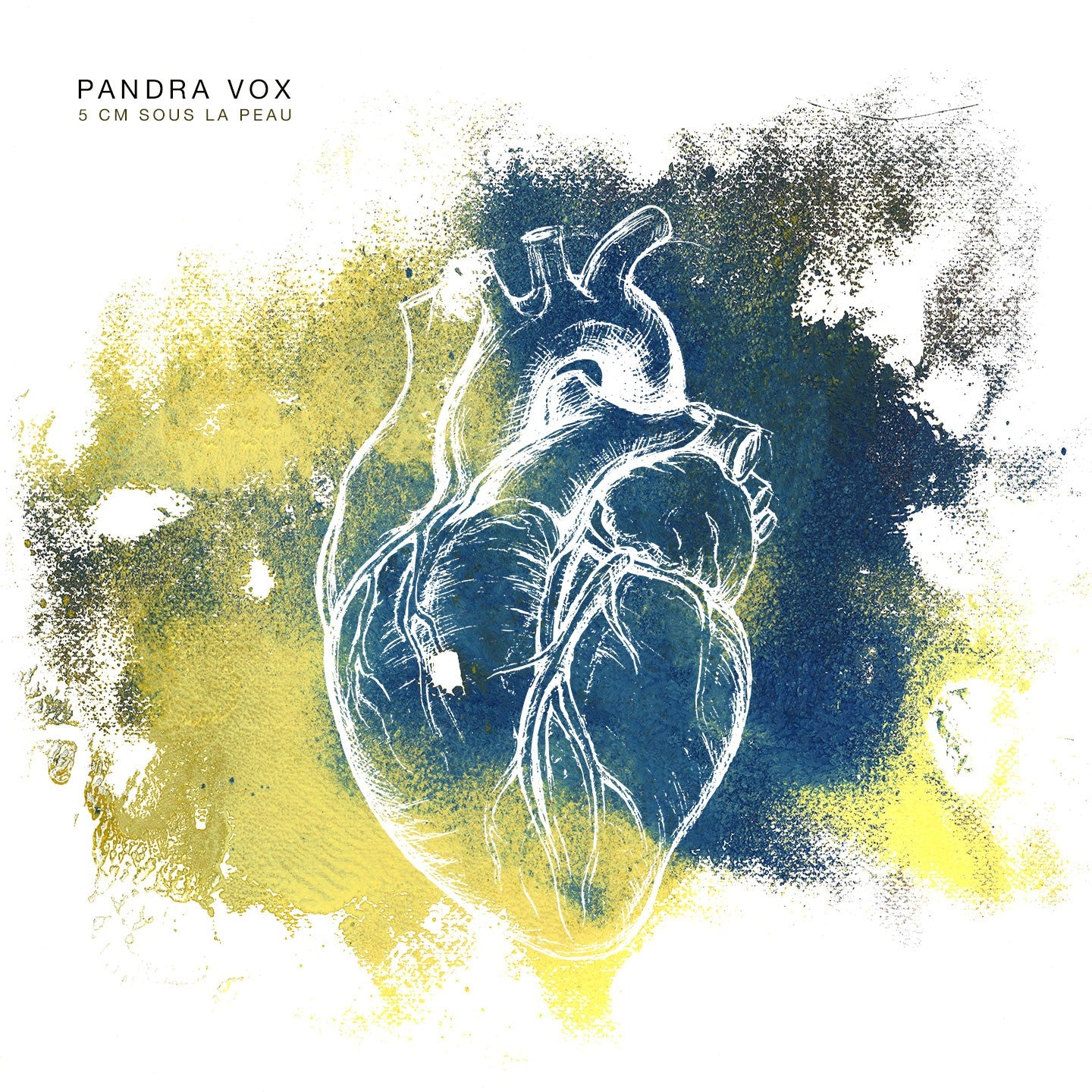 Pochette de : 5CM SOUS LA PEAU - PANDRA VOX (CD)