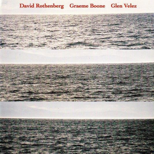 Pochette de : ON THE CLIFFS OF THE HEART - DAVID ROTHENBERG (CD)