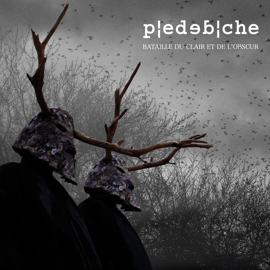 Pochette de : BATAILLE DU CLAIR ET DE L'OBSCUR - PIEDEBICHE (CD)
