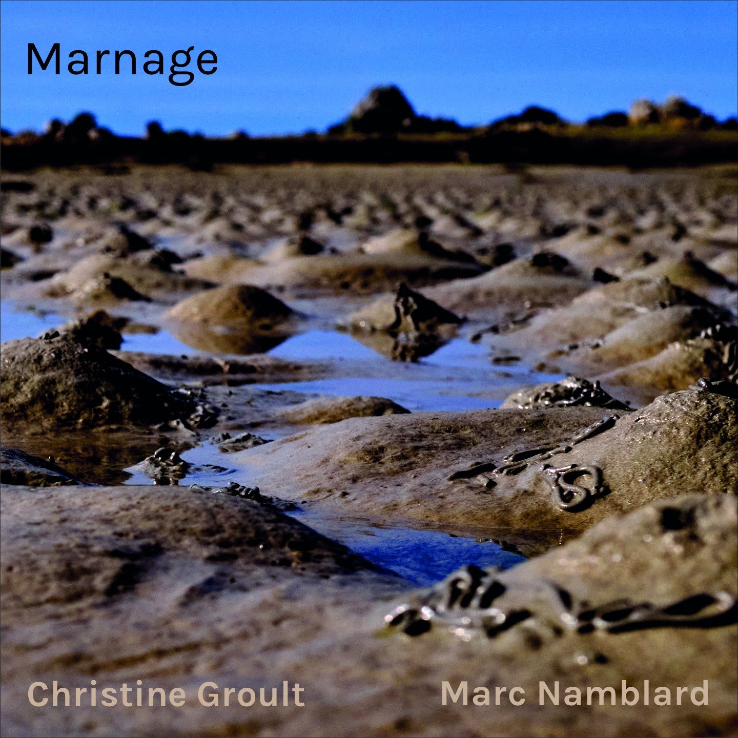 Pochette de : MARNAGE - CHRISTINE GROULT, MARC NAMBLARD (CD)
