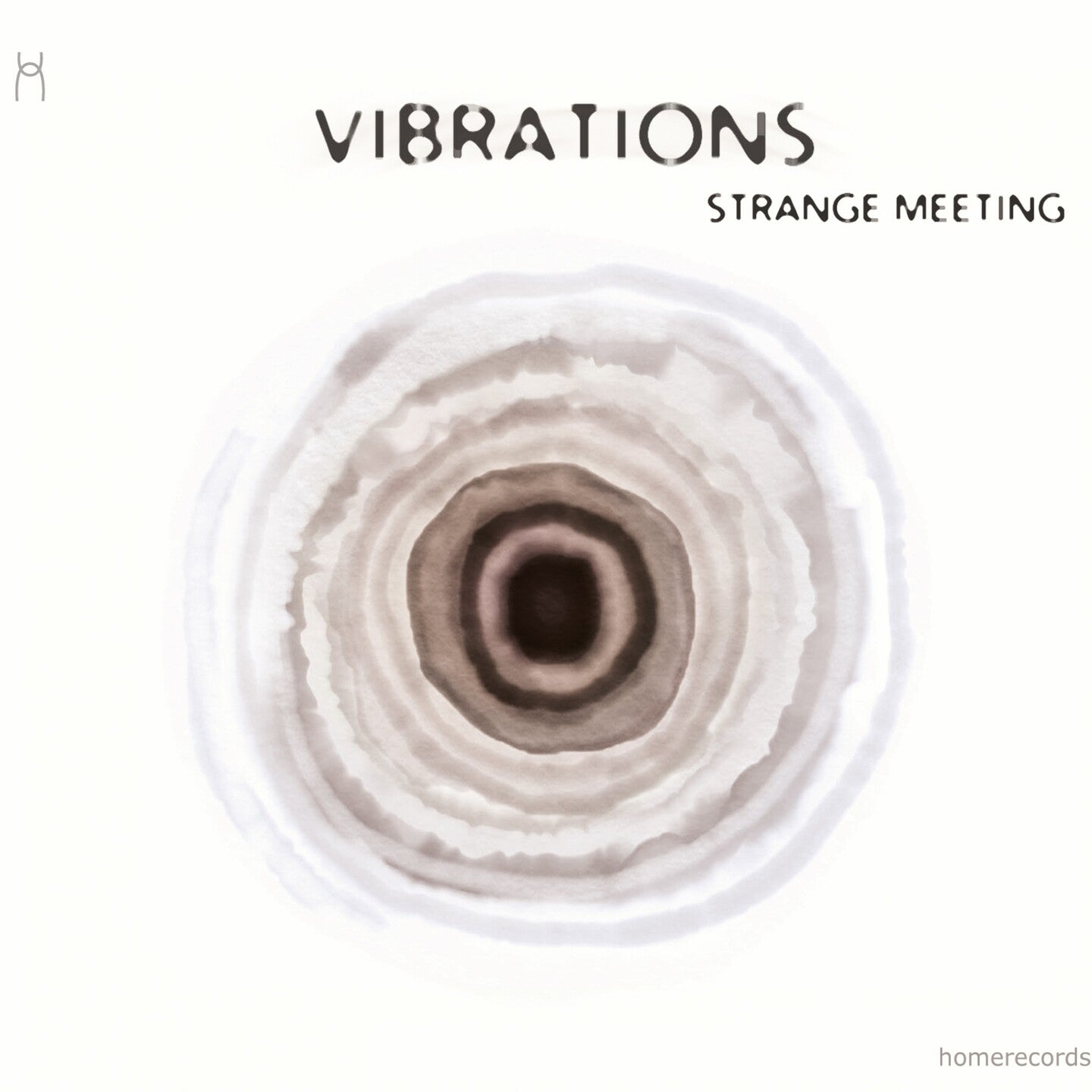 Pochette de : STRANGE MEETING - ENSEMBLE VIBRATIONS (CD)