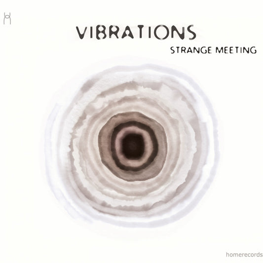 Pochette de : STRANGE MEETING - ENSEMBLE VIBRATIONS (CD)