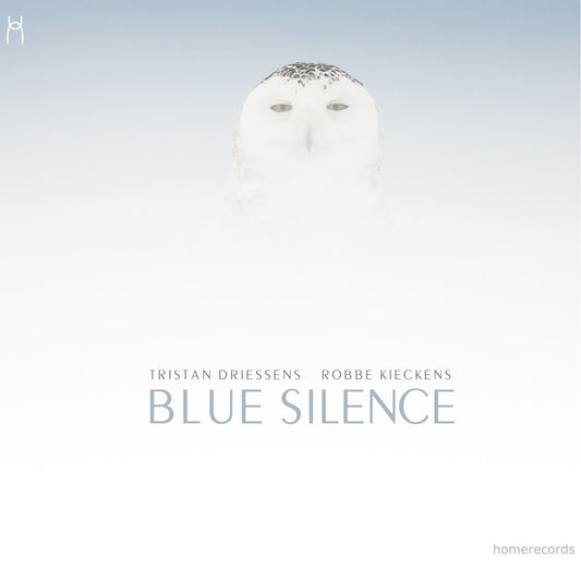 Pochette de : BLUE SILENCE - TRISTAN DRIESSENS & ROBBE KIECKENS (CD)