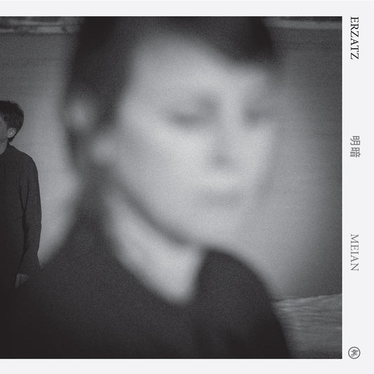 Pochette de : MEIAN - ERZATZ (VINYLE 33T)