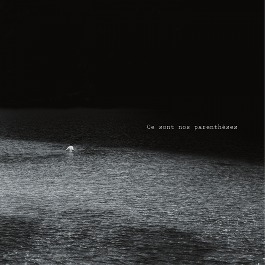 Pochette de : CE SONT NOS PARENTHÈSES - LA COMPAGNIE DES POSSIBLES (CD)