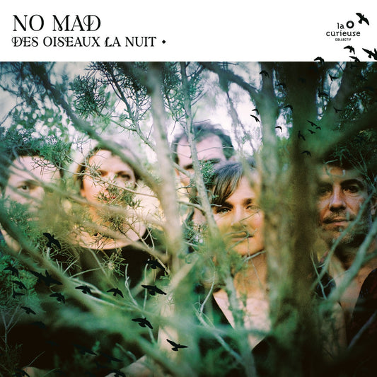 Pochette de : DES OISEAUX LA NUIT - NO MAD? (CD)