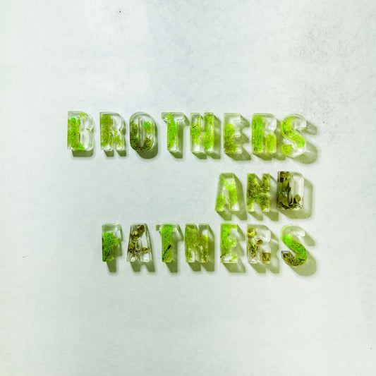 Pochette de : BROTHERS & FATHERS // HYDRANGEAS - DESMOND MYERS (VINYLE 33T)