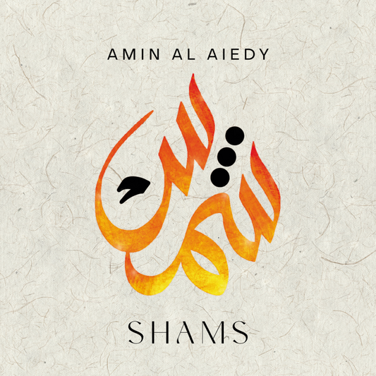 Pochette de : SHAMS - AMIN AL AIEDY (VINYLE 33T)
