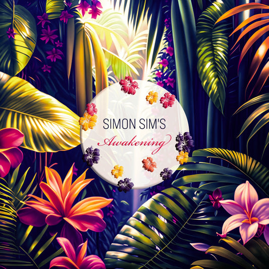 Pochette de : AWAKENING - SIMON SIM'S (VINYLE 33T)