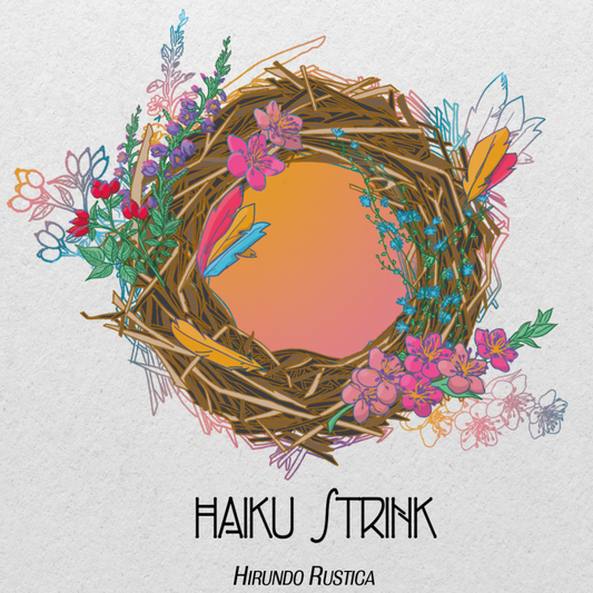 Pochette de : HIRUNDO RUSTICA - HAÏKU STRINK (CD)