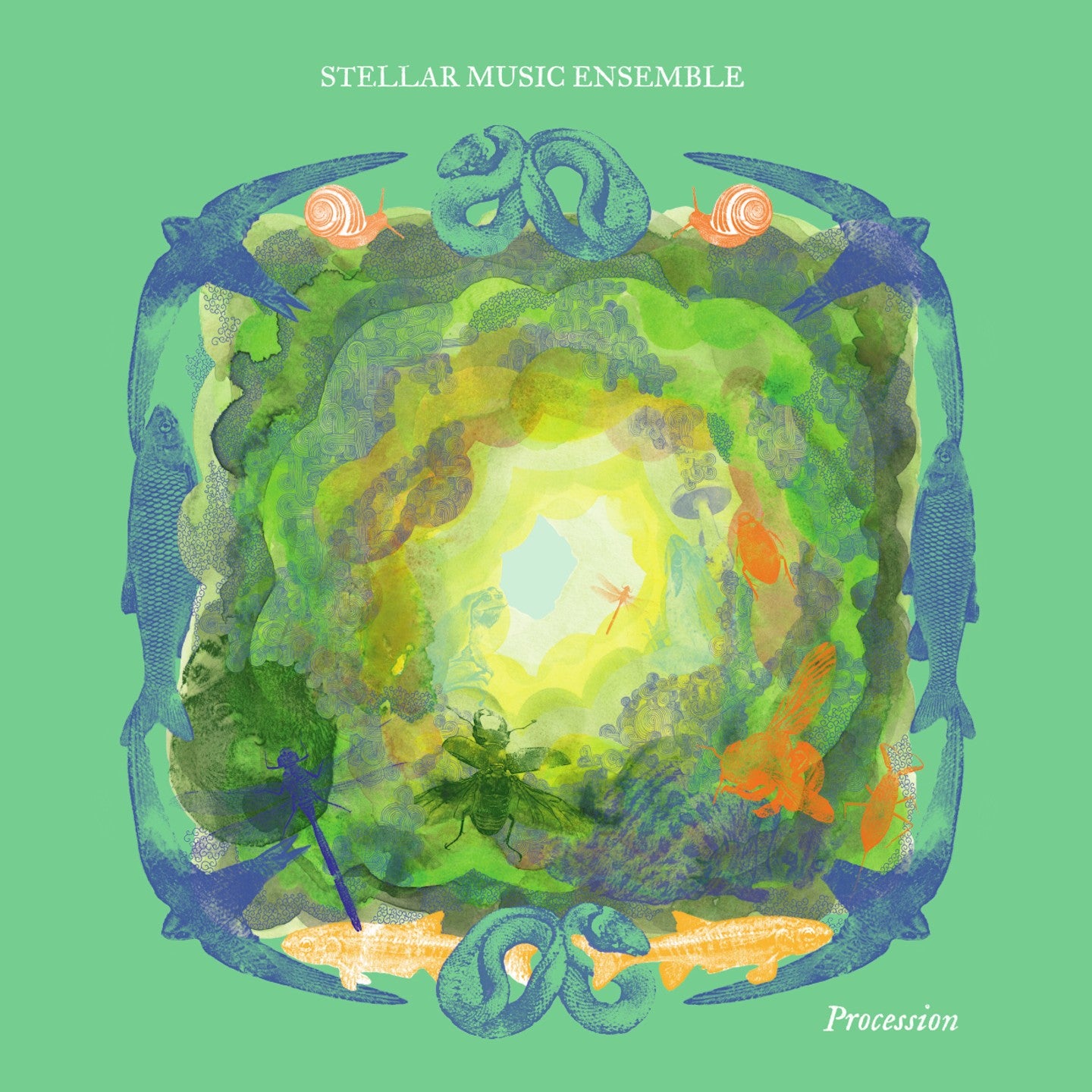 Pochette de : PROCESSION - STELLAR MUSIC ENSEMBLE (VINYLE 33T)