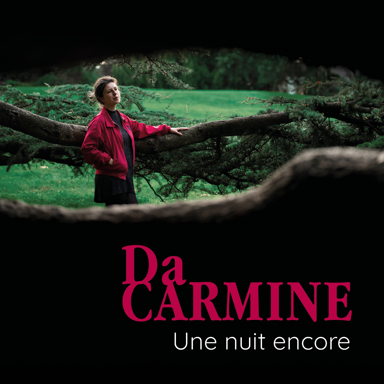 Pochette de : UNE NUIT ENCORE - DA CARMINE (CD)
