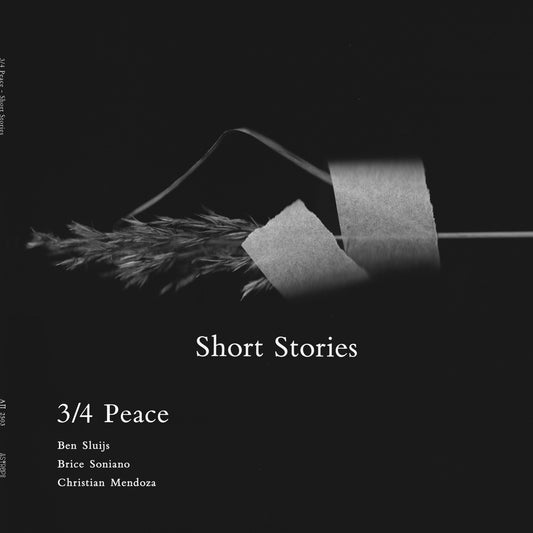Pochette de : SHORT STORIES - 3/4 FOR PEACE (VINYLE 33T)