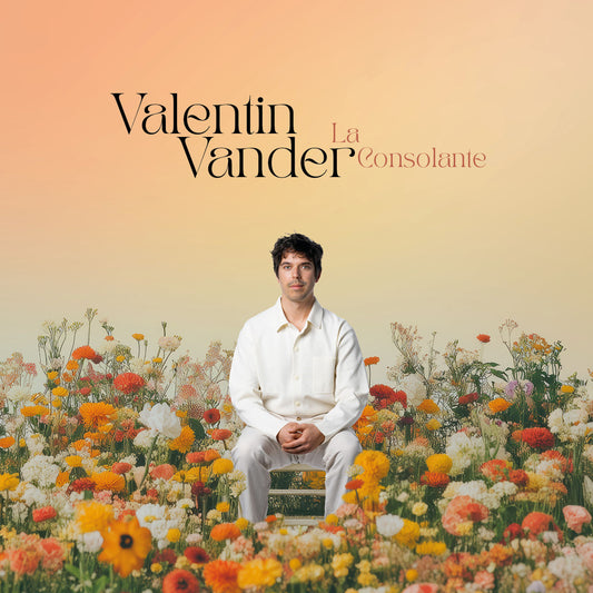 Pochette de : LA CONSOLANTE - VALENTIN VANDER (CD)