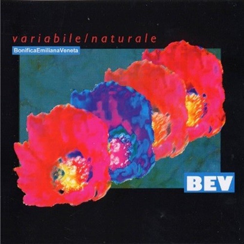 Pochette de : VARIABILE / NATURALE - BEV (CD)
