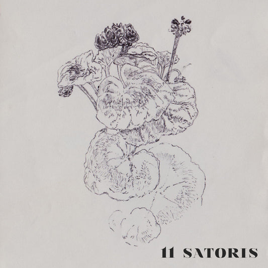 Pochette de : 11 SATORIS - 11 SATORIS (VINYLE 33T)