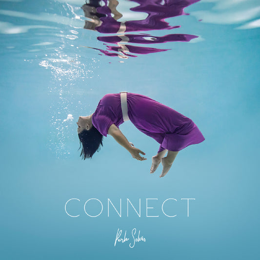Pochette de : CONNECT - PERLE SOLVÈS (CD)