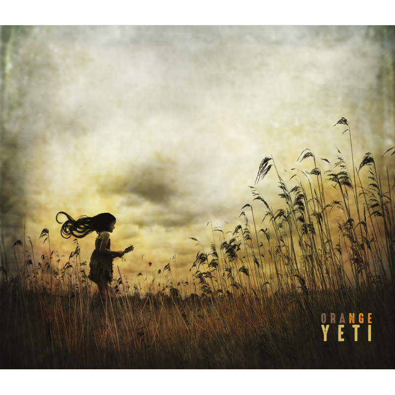 Pochette de : ORANGE YETI - ORANGE YETI (CD)