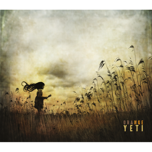Pochette de : ORANGE YETI - ORANGE YETI (VINYLE 33T)