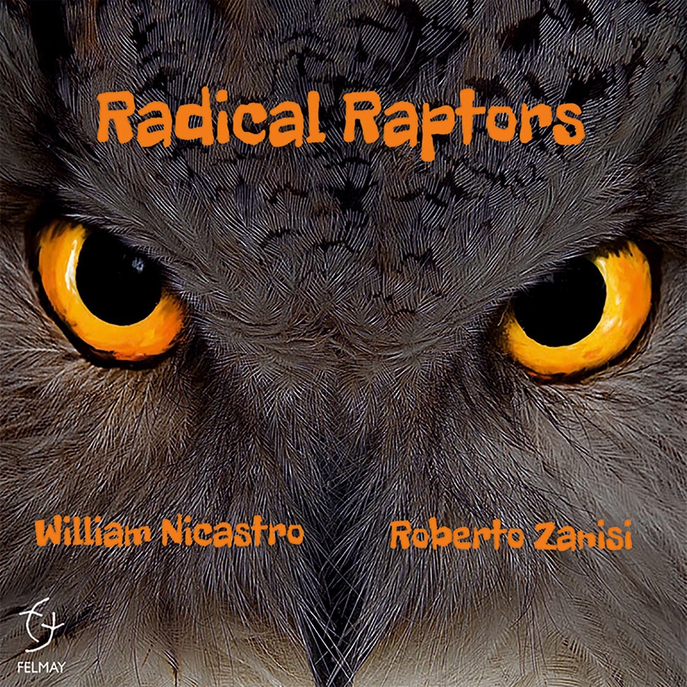 Pochette de :  RADICAL RAPTORS  - RADICAL RAPTORS (CD)