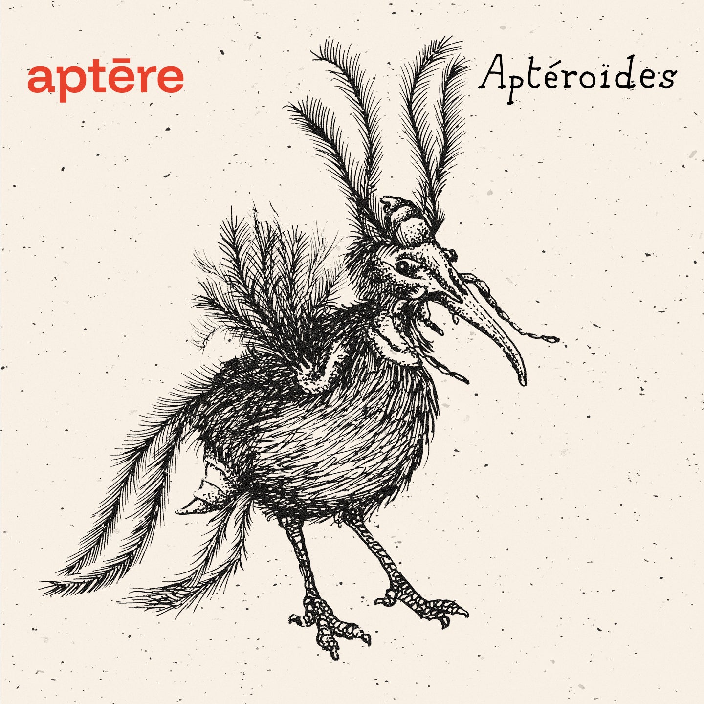 Pochette de : APTĒROÏDES - APTĒRE (CD)
