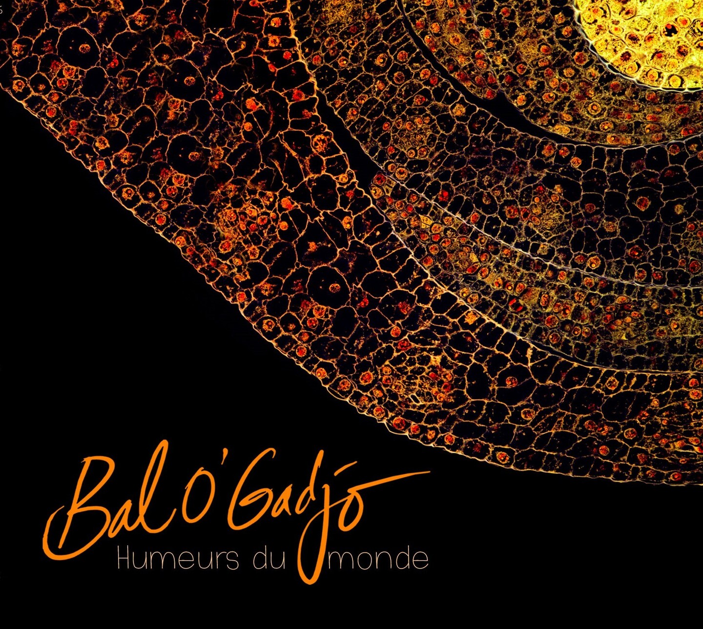 Pochette de : HUMEURS DU MONDE - BAL O'GADJO (CD)
