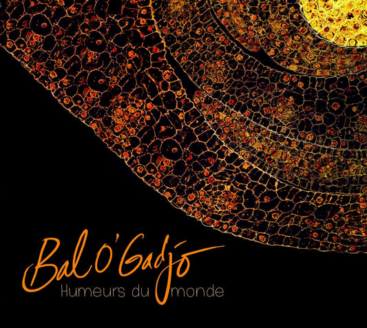 Pochette de : HUMEURS DU MONDE - BAL O'GADJO (CD)