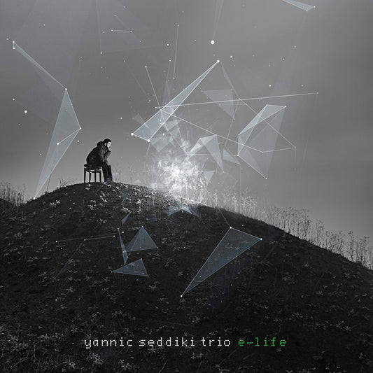Pochette de : E-LIFE - YANNIC SEDDIKI TRIO (VINYLE 33T)