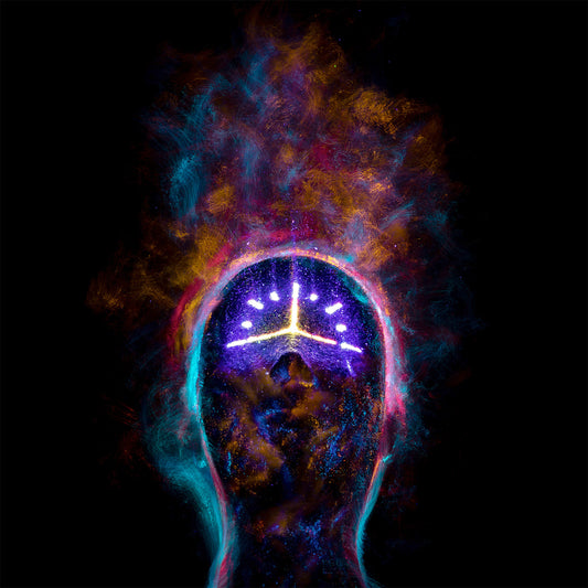 Pochette de : THE NEXT WORLD - KAÂRTELL (CD)